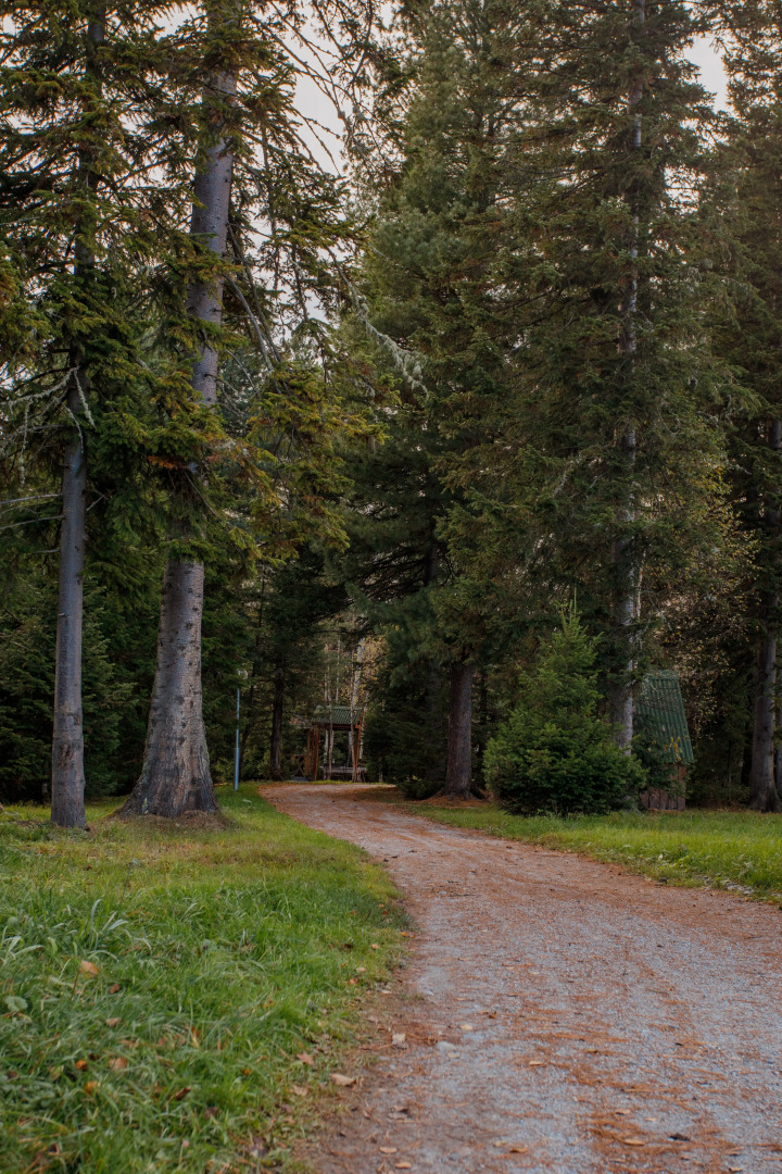 База отдыха Озерки