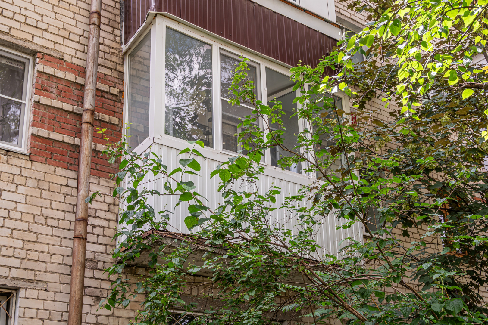 Квартира Red Bus Apartment na Mira