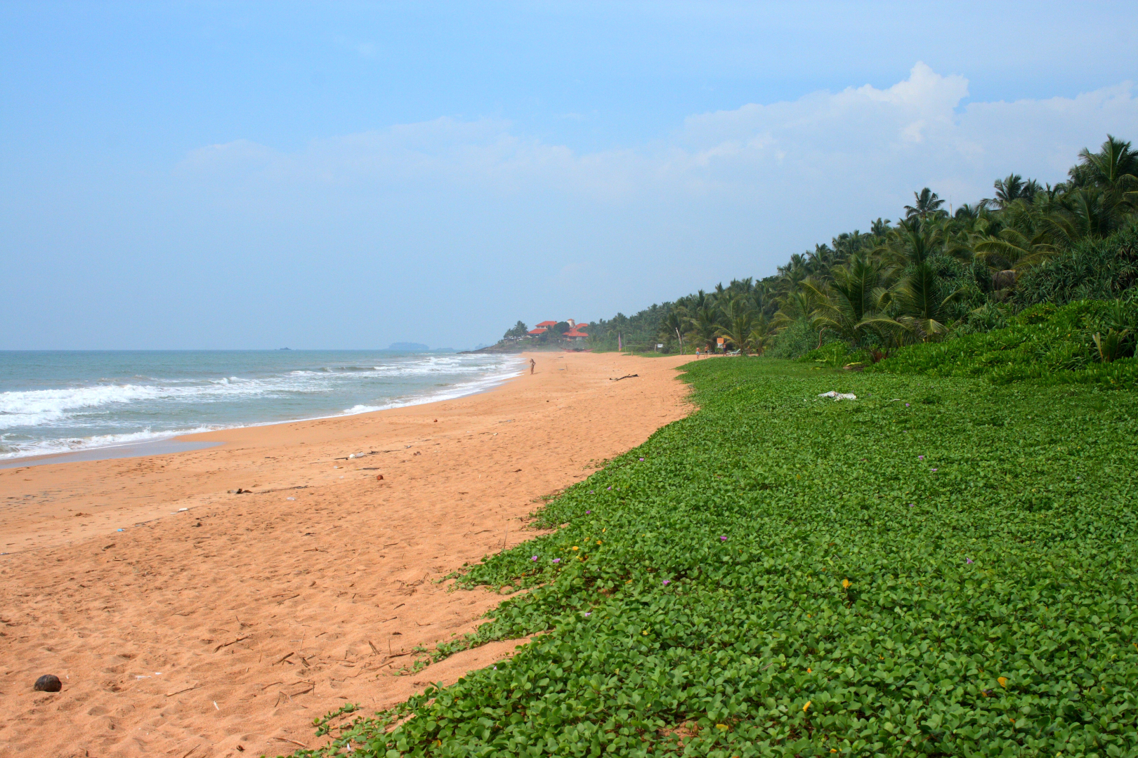 Отель Temple Tree Resort & Spa