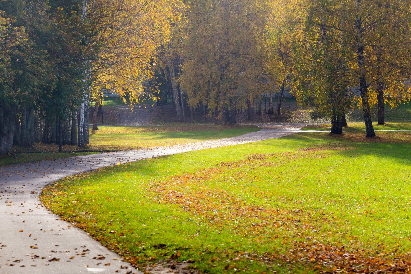 Пансионат Поляны