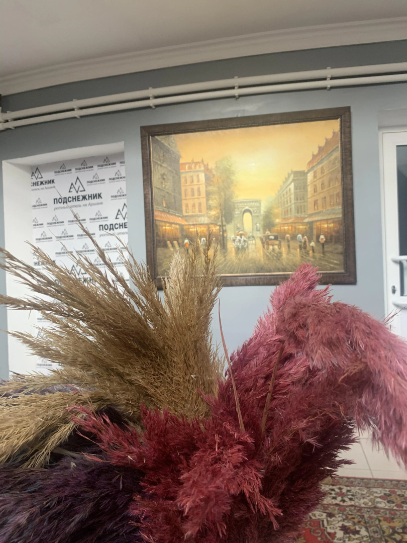 Мини-отель Подснежник