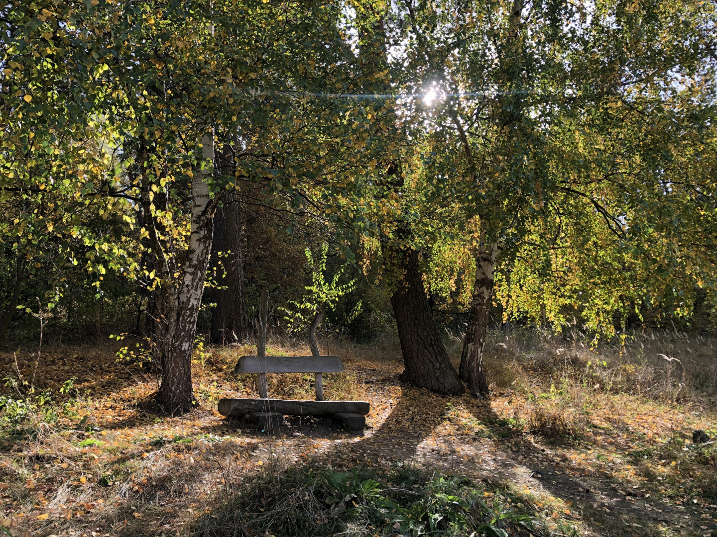 Санаторий Солотча