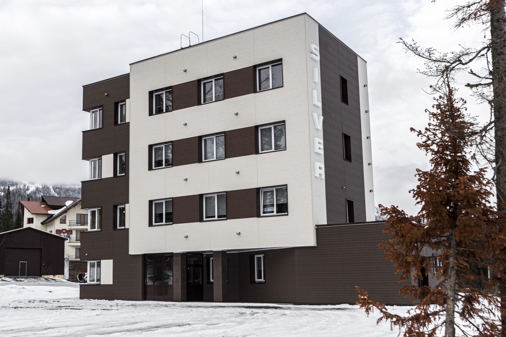 Хостел Сильвер