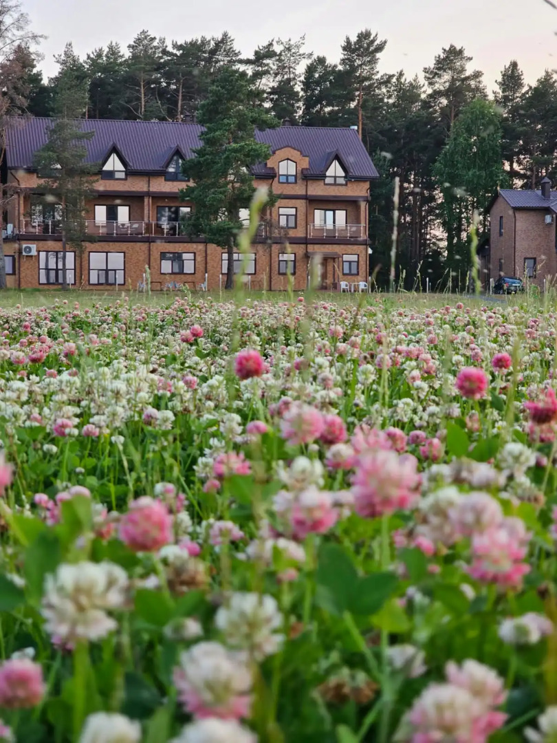 База Отдыха Озерная