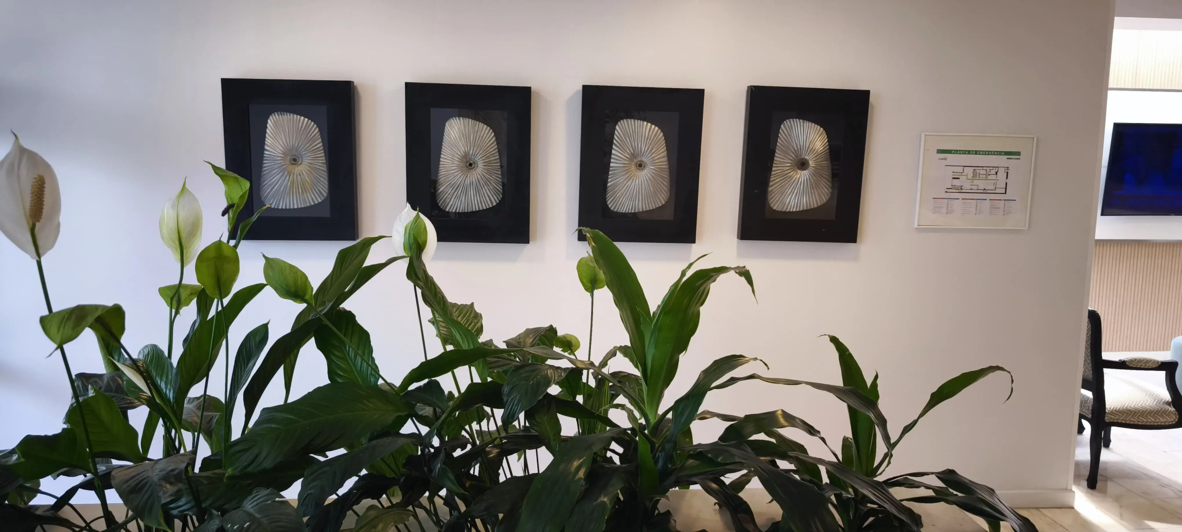 Отель Sao Mamede Estoril