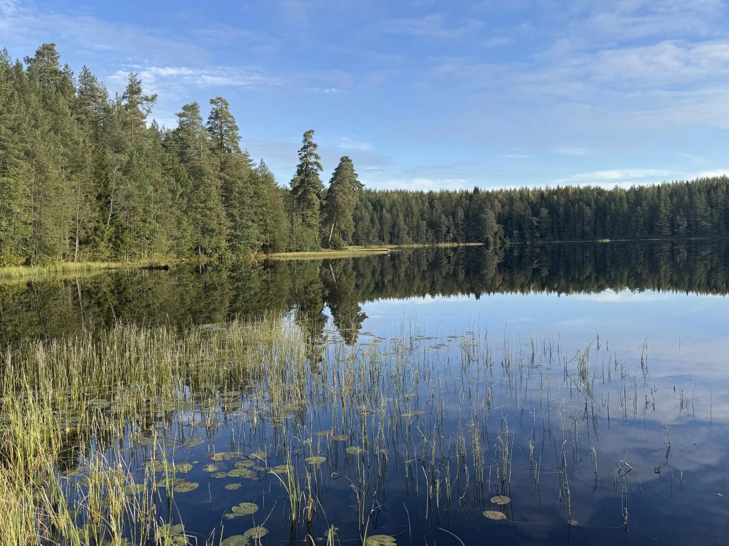 Частный дом Ретро-дача в Карельской деревне