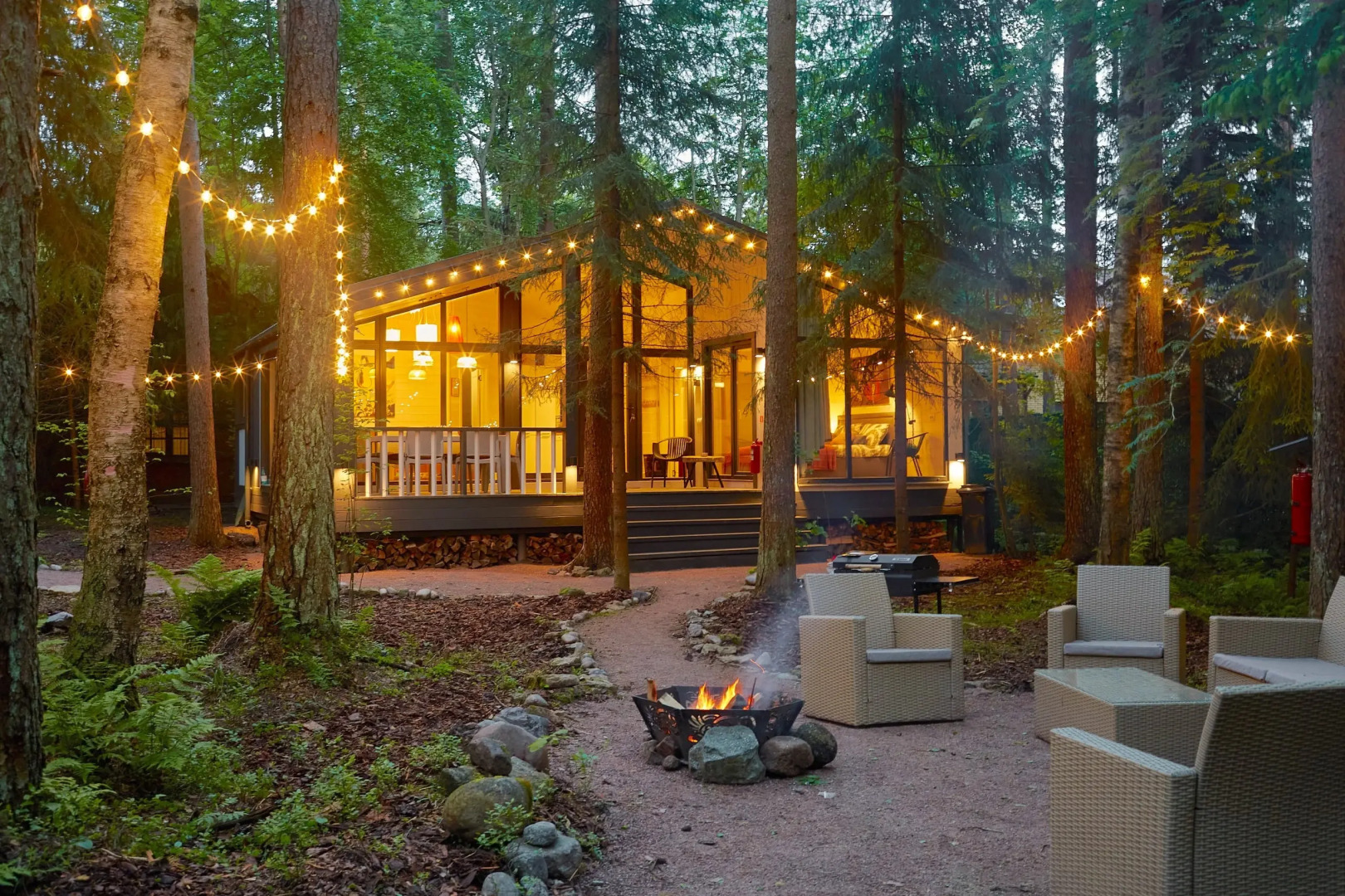 Частный дом Репинская дача на опушке красивого леса