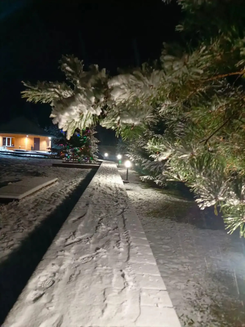 Гостевой дом Парк-отель Оазис