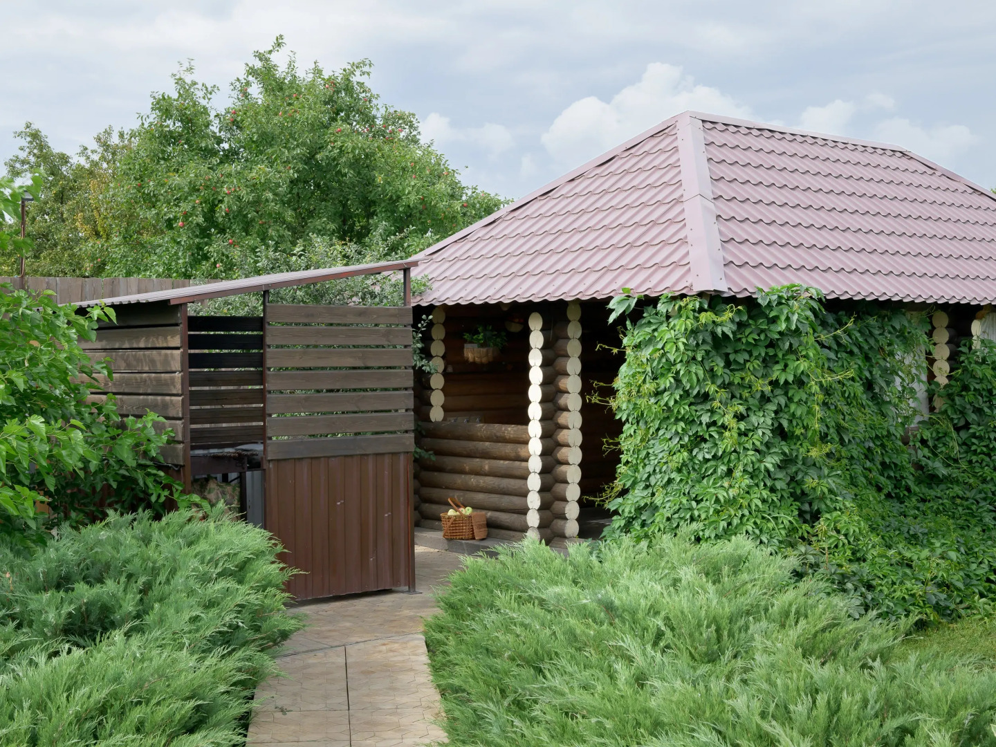 Частный дом Гуси Лебеди