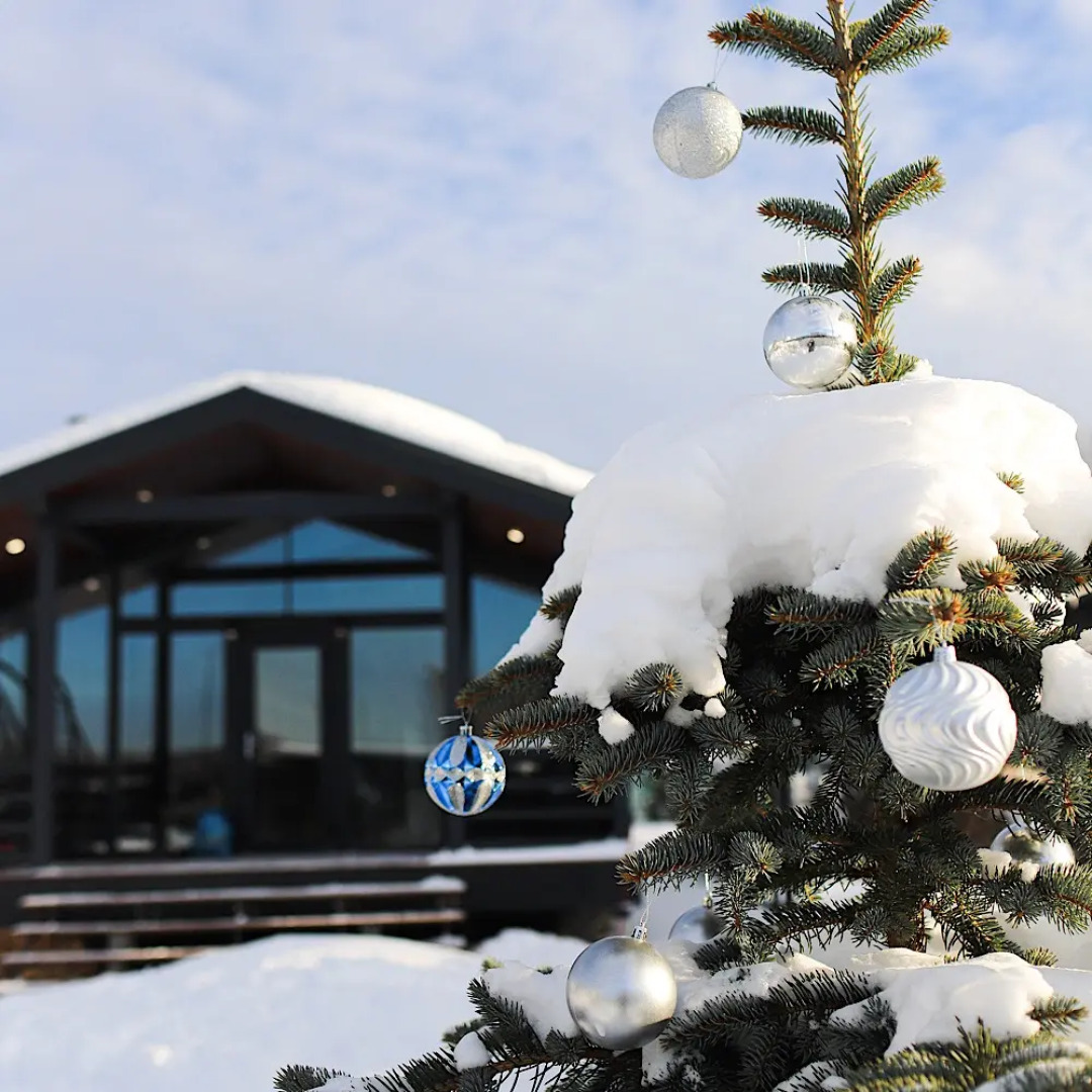 Гостевой дом Домик в Икше