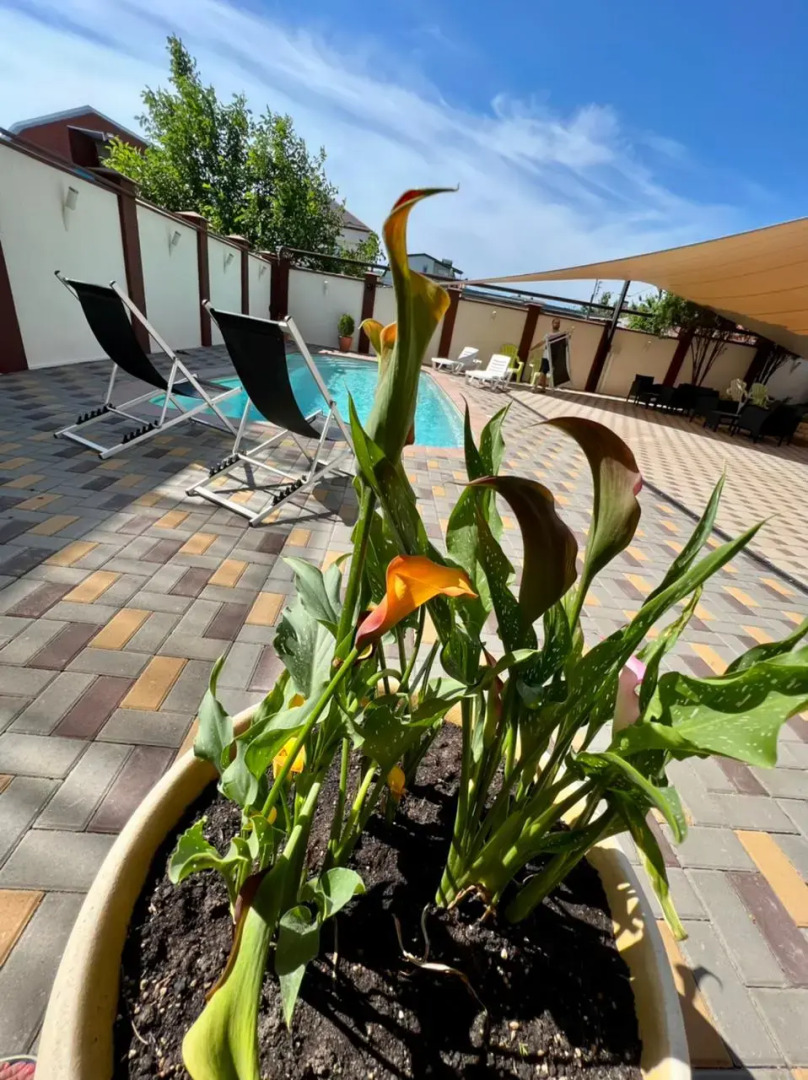 Гостевой дом ПАРУС