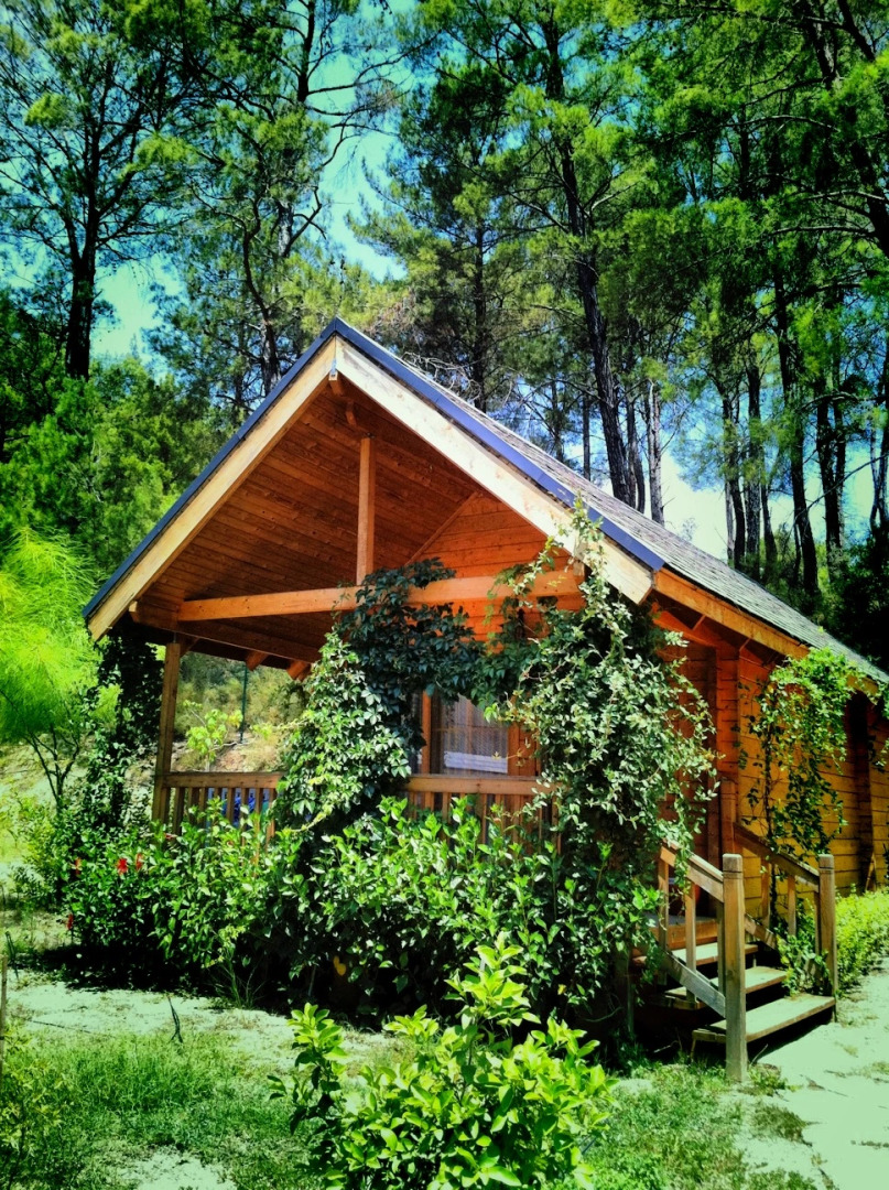 Отель Olymposvillage