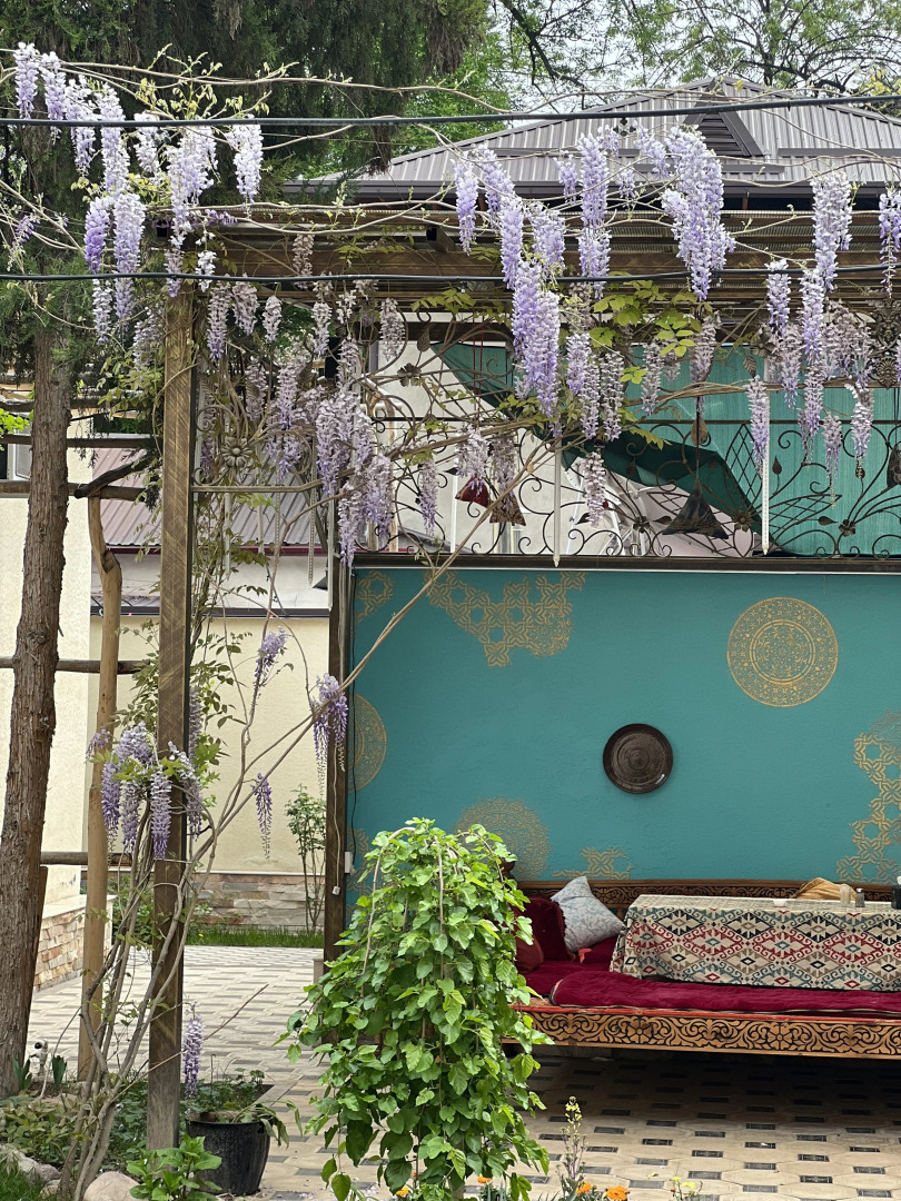 Отель Zahid Inn