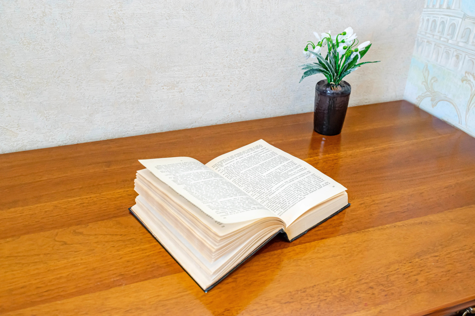 Апартаменты Сладких Снов на Толмачёва 17