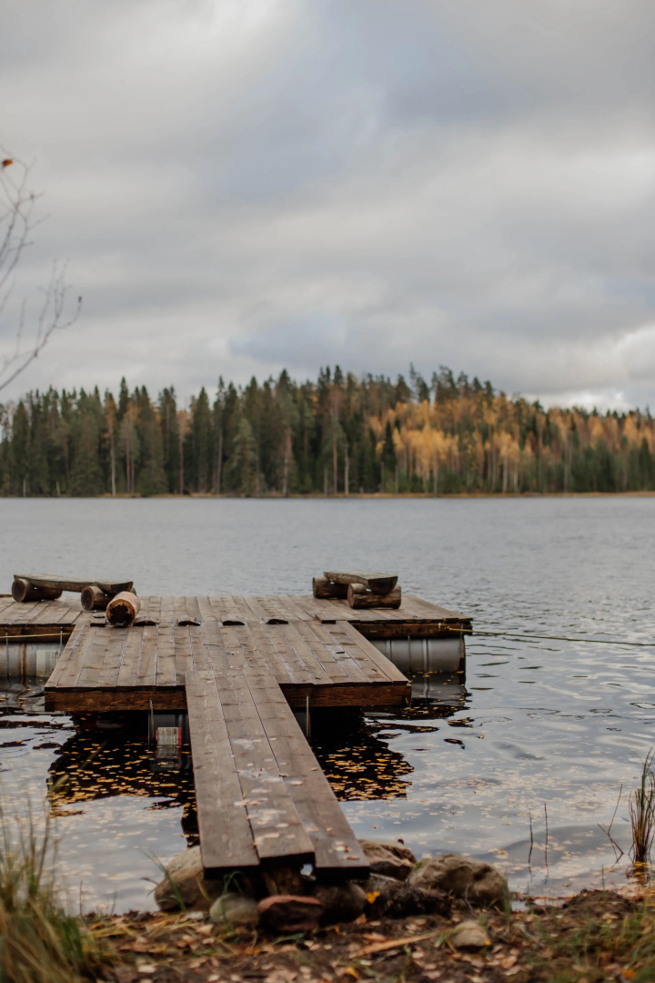 Папоротник