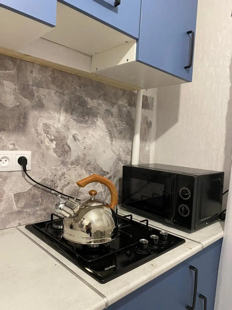 Квартира  на  Ольгинской  набережной  9