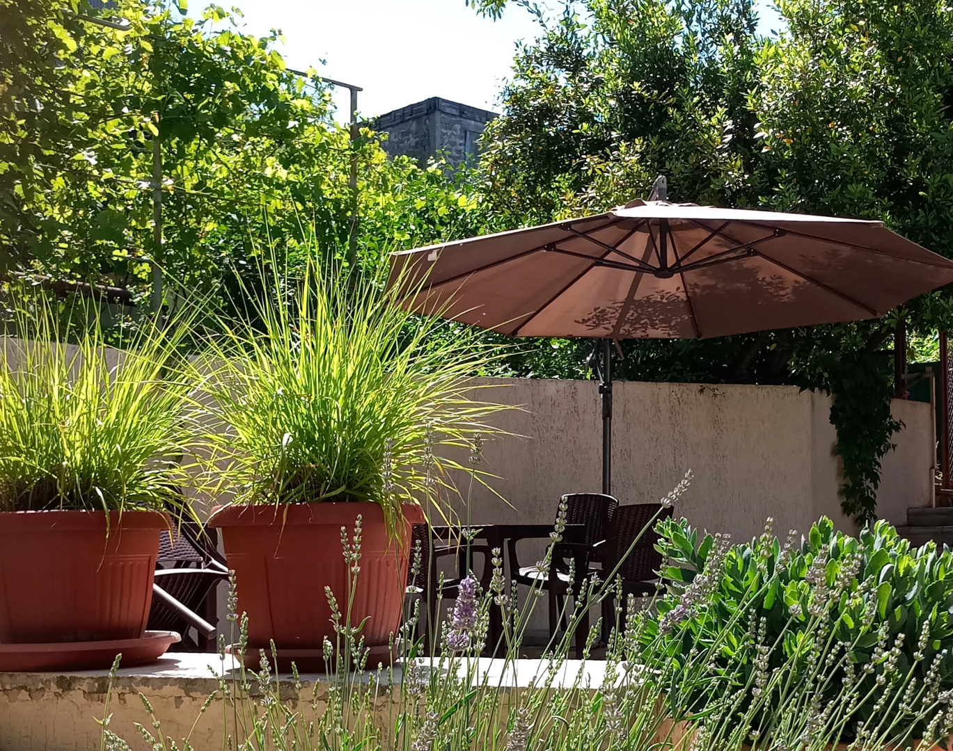 Гостевой дом Французский дом