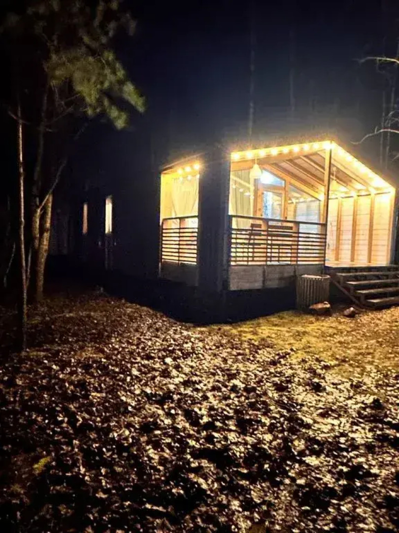 Частный дом в скандинавском стиле в березовом лесу