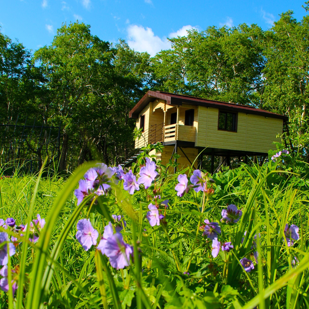 Мини-Отель Kamchatka Magic Wood