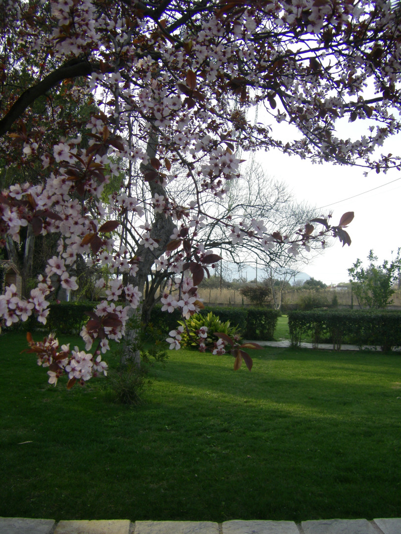 Апартаменты Aenaon Studios