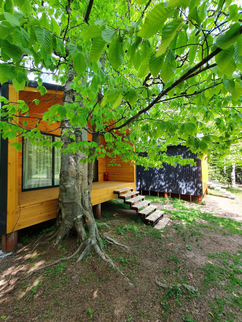 Шале Сияние Family Сlub