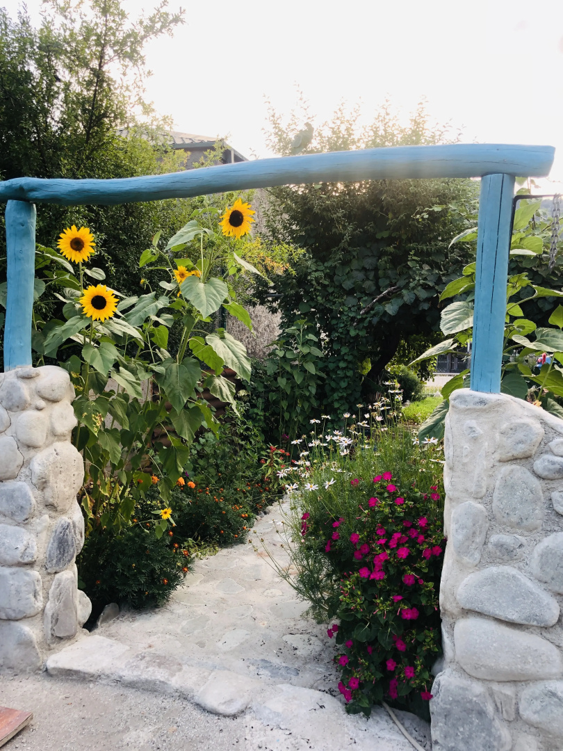 Guesthouse STAR Lagodekhi