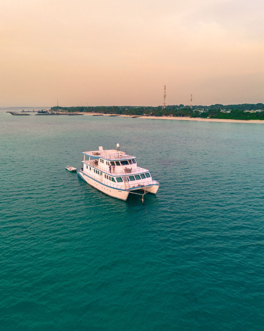 Отель The Barefoot Eco