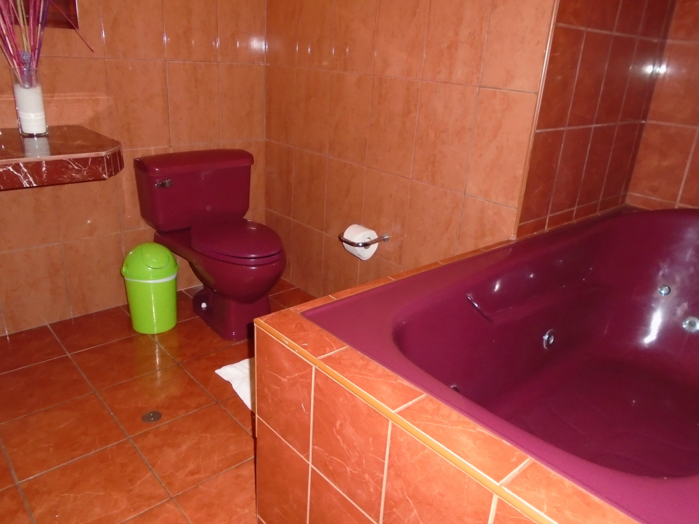 Отель Royal Inca