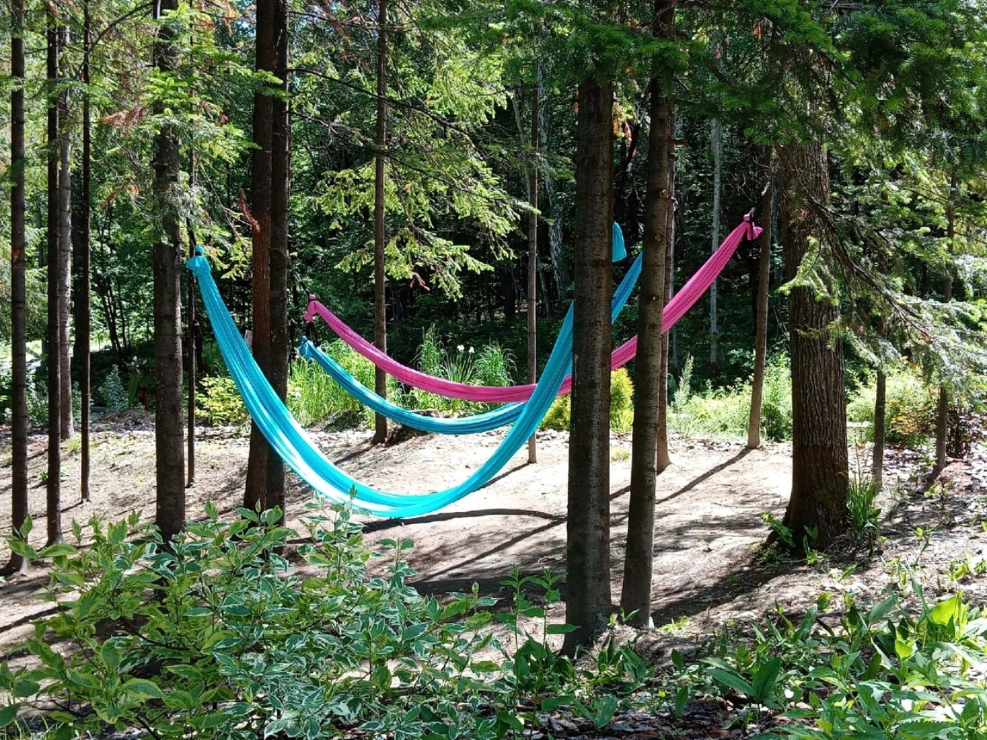 Отель Весна