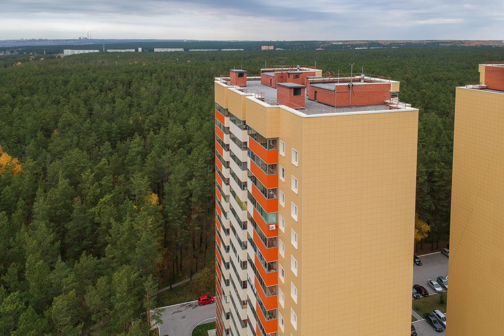 Квартира с окнами на лес