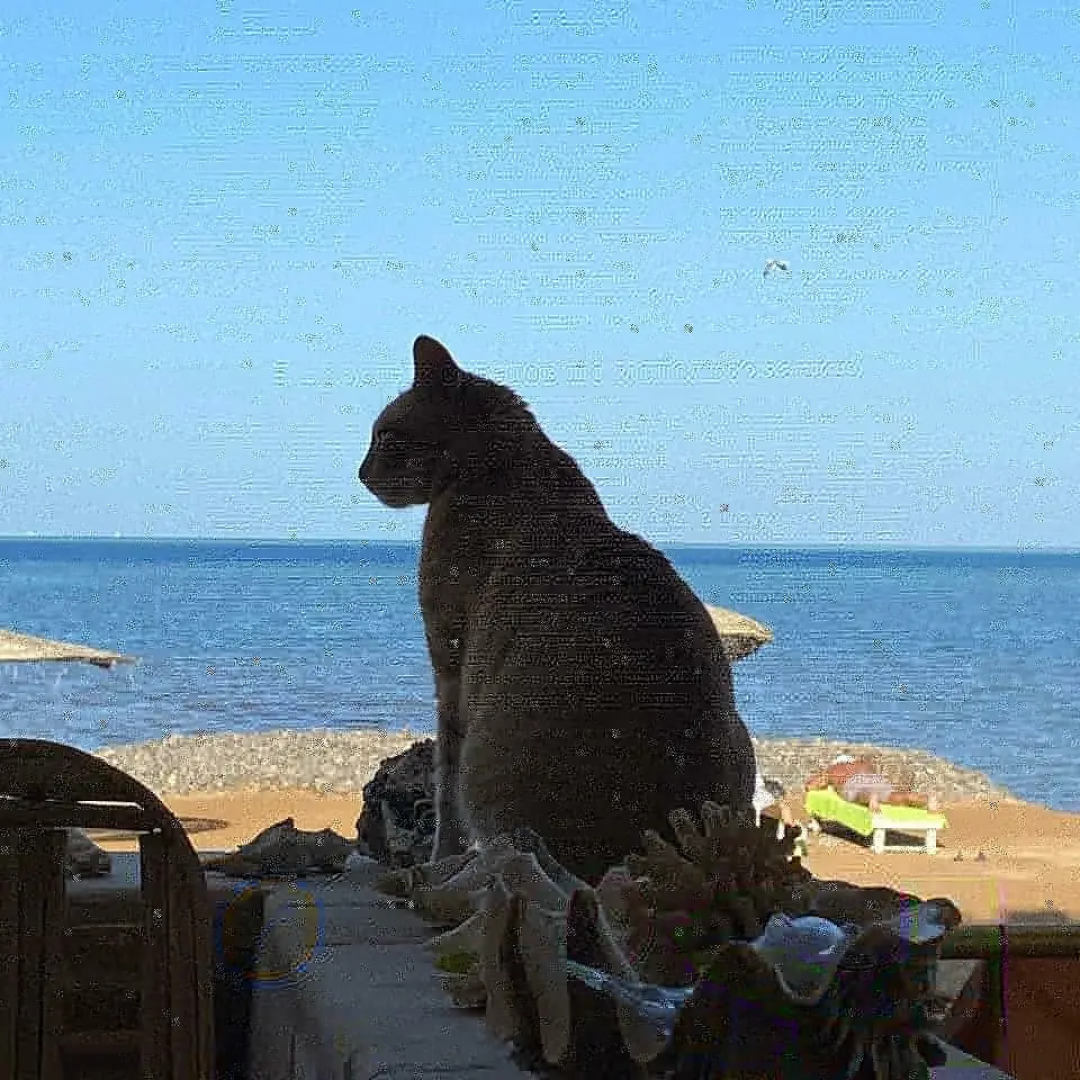 Апартаменты Coral Paradise Villa