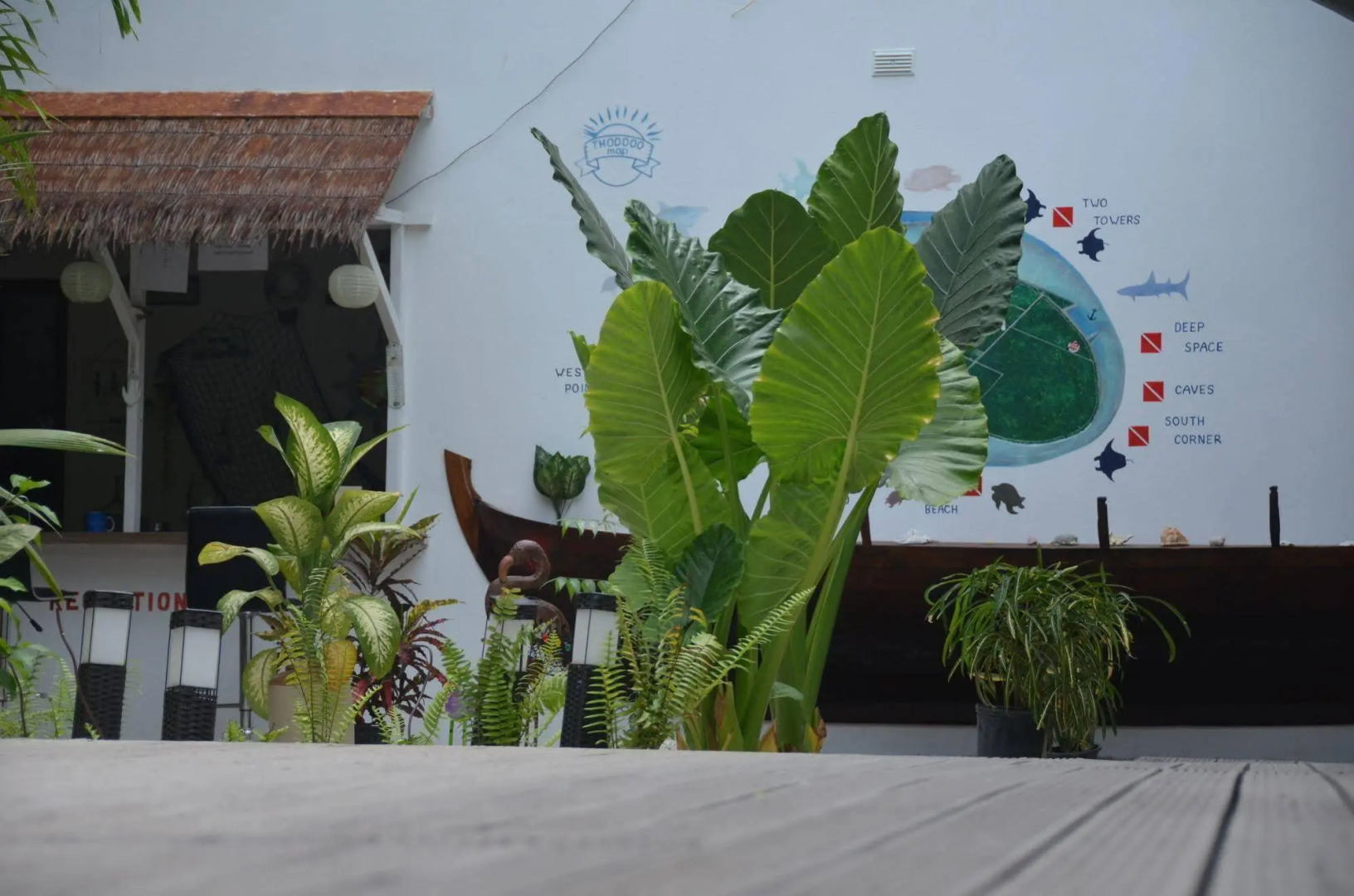 Вилла Dive Villa Thoddoo