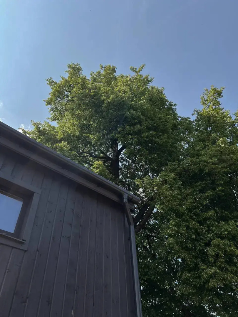 Гостевой Дом Barn House