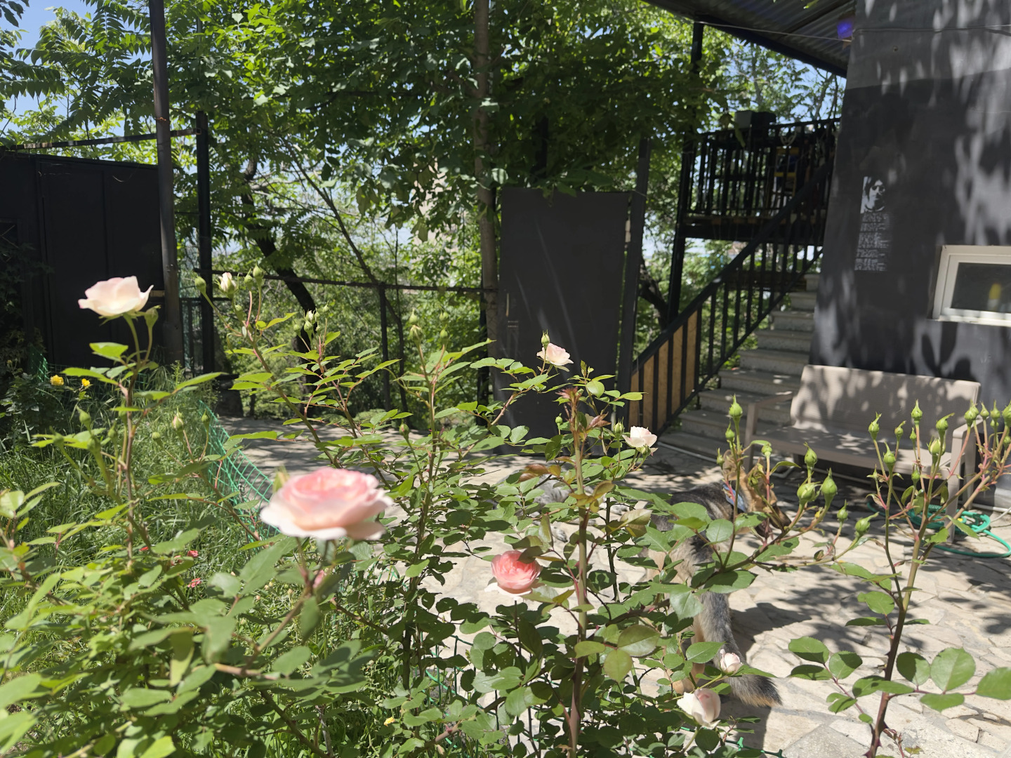 Апартаменты POnx Studios