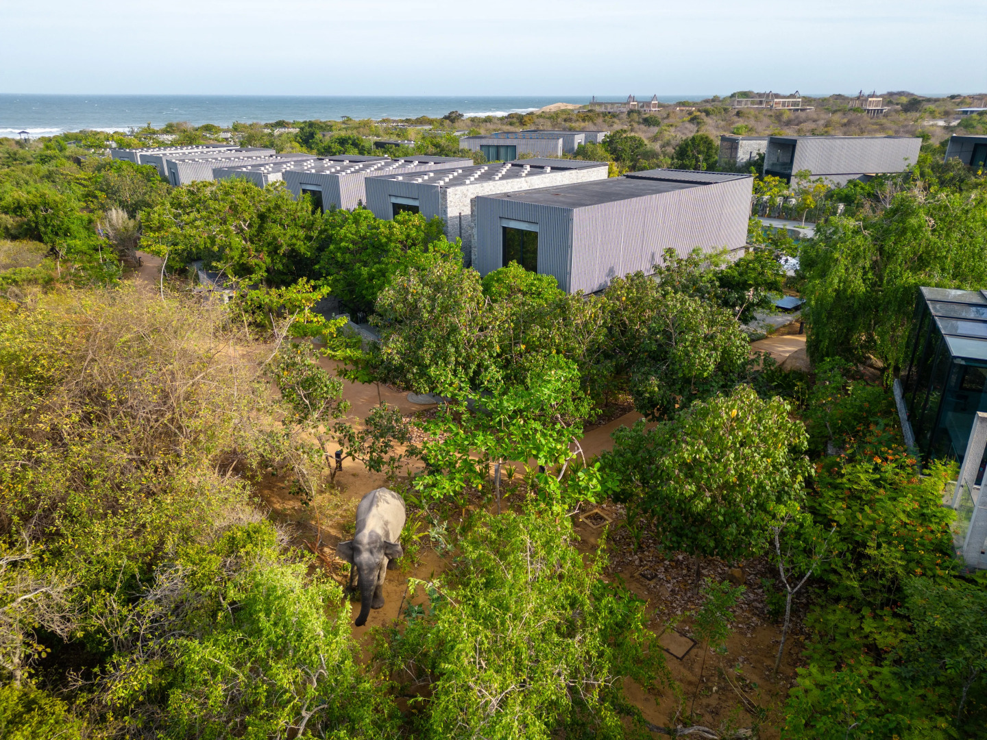 Курортный отель  Hilton Yala