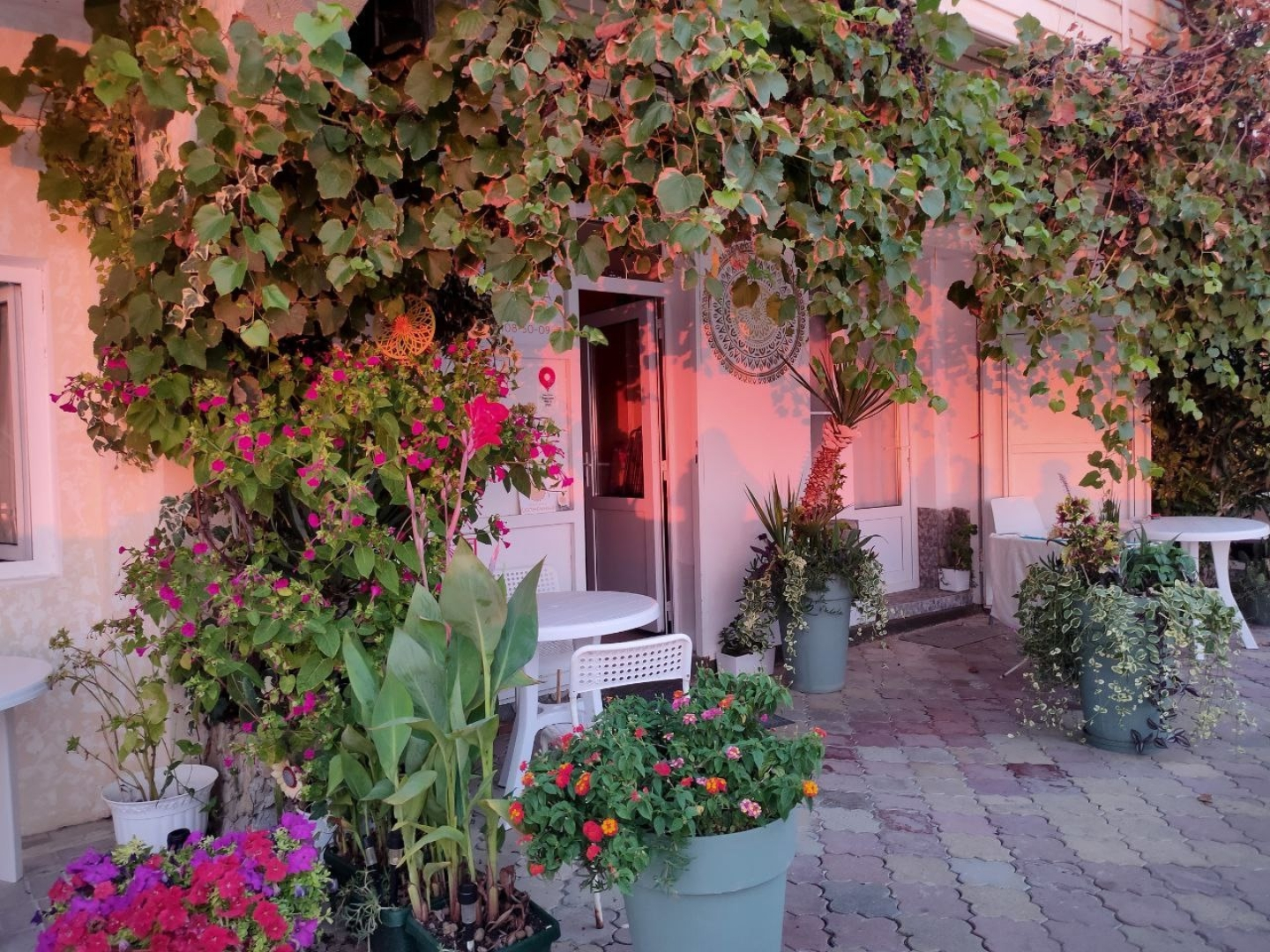 Апартаменты Эллинг Солнечный