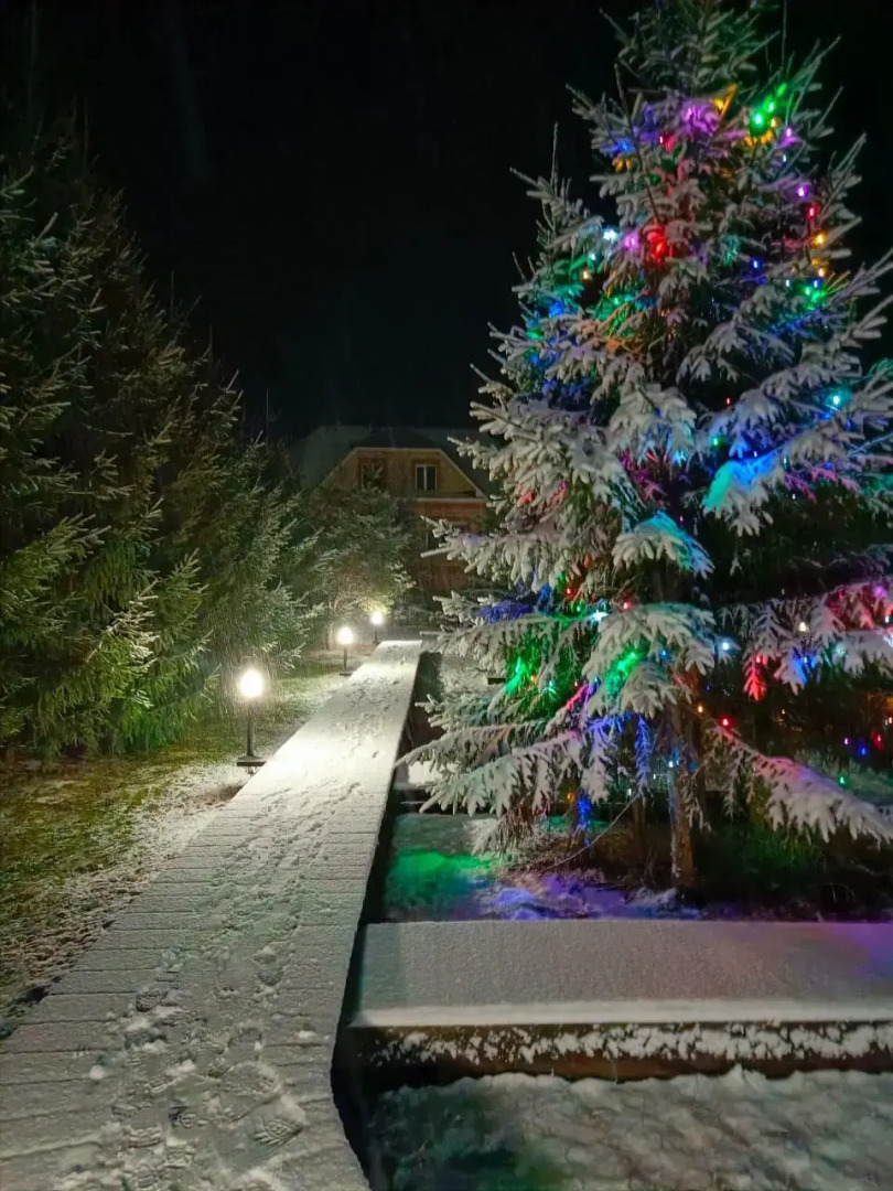 Гостевой дом Парк-отель Оазис