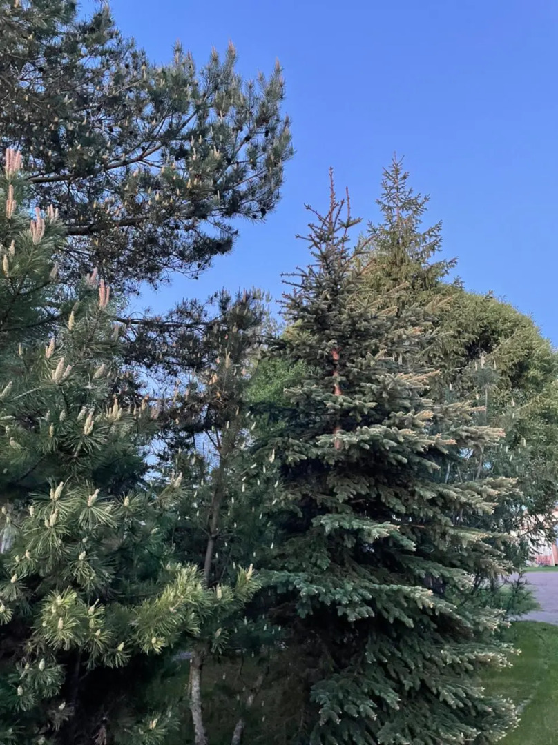 База отдыха Свирская