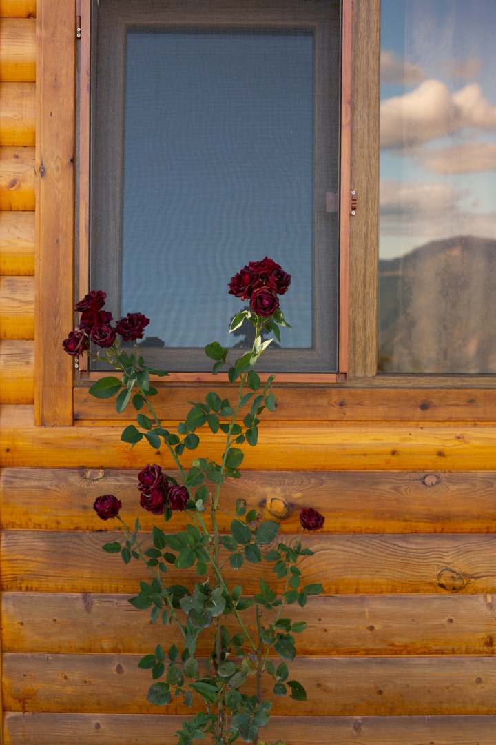 Kanach tun (Green home)