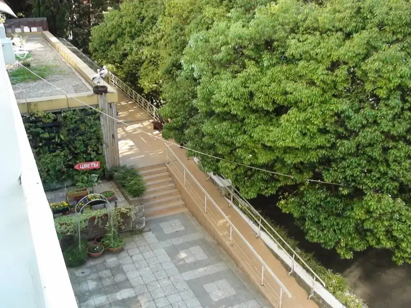 Апартаменты Светлана-Центр с видом на море и восток