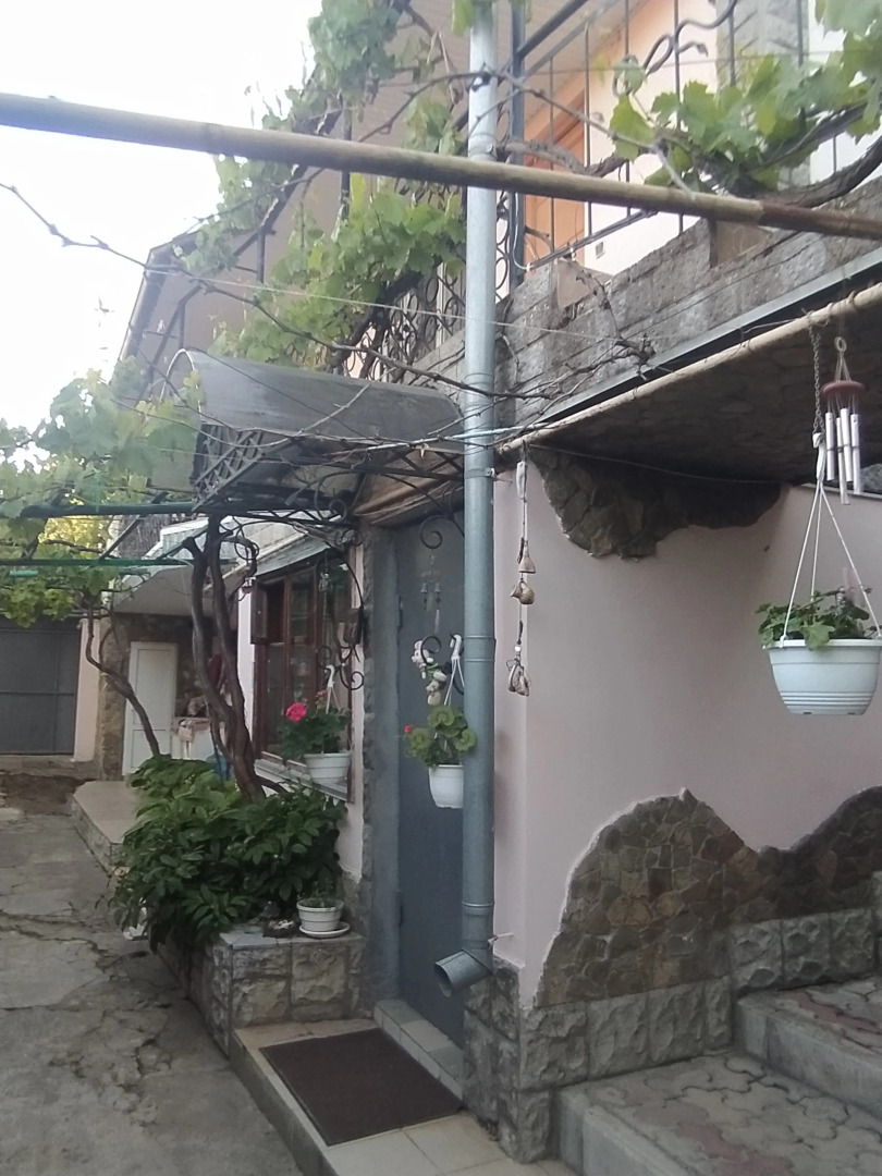 Меблированные комнаты Celica