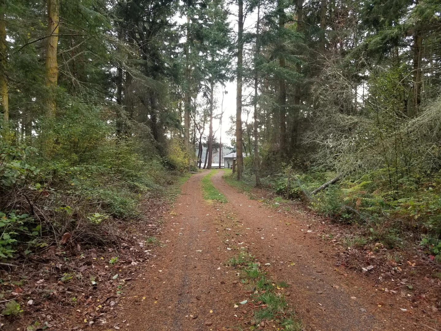 Гостевой Дом Gomez