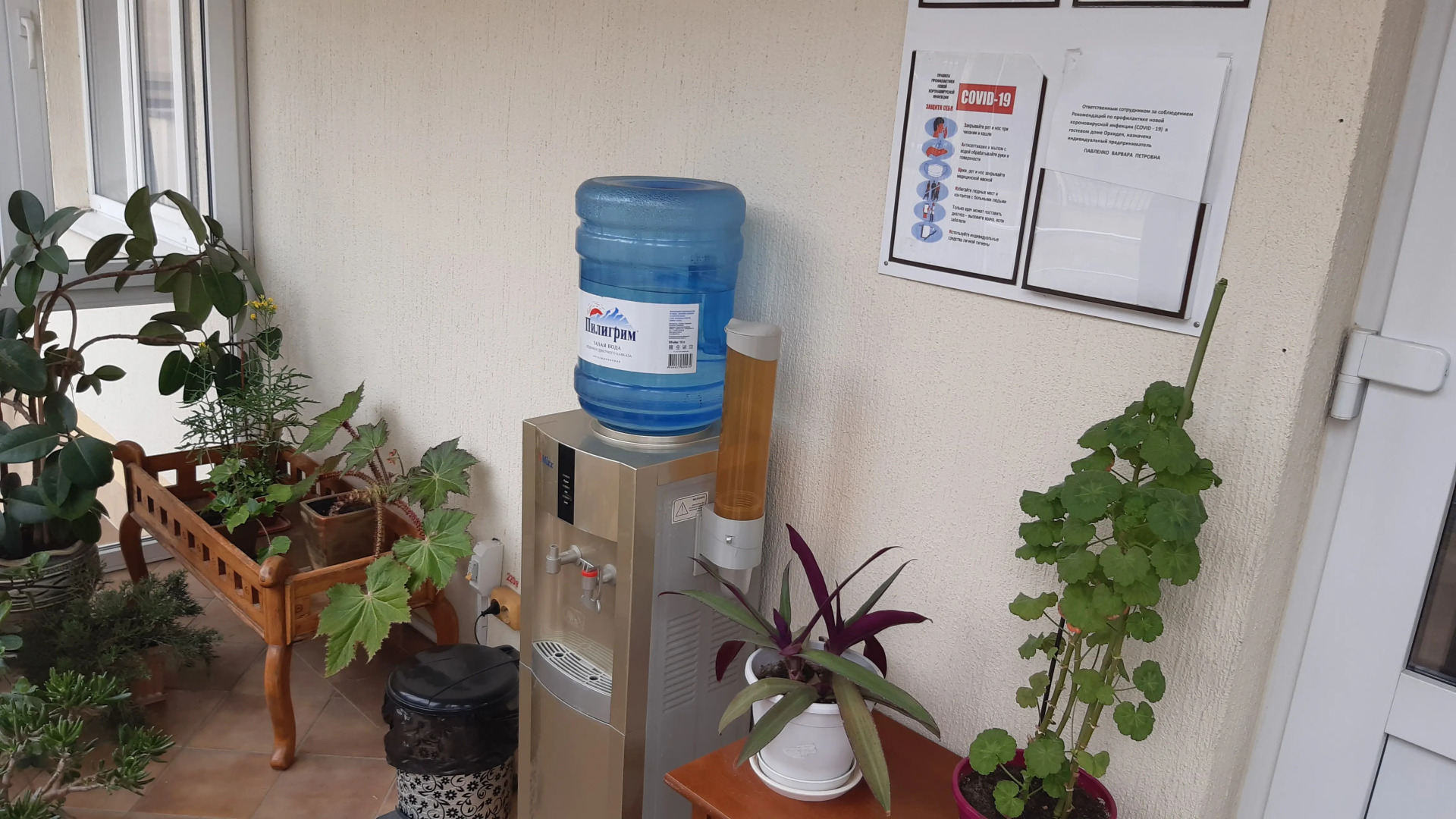 Отель Орхидея