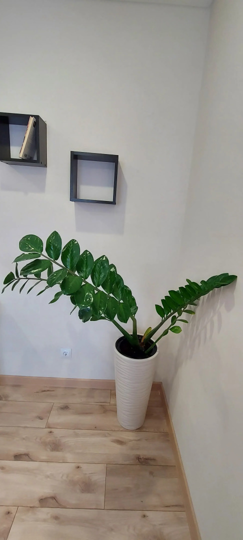 Квартира Рядом с Академией Единоборств