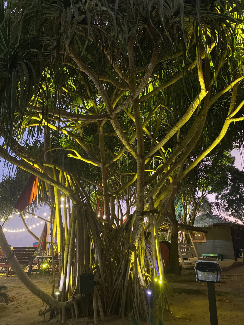 Мини-отель Tomorrowland Beach Villas & Fisherman's Wharf Restaurant