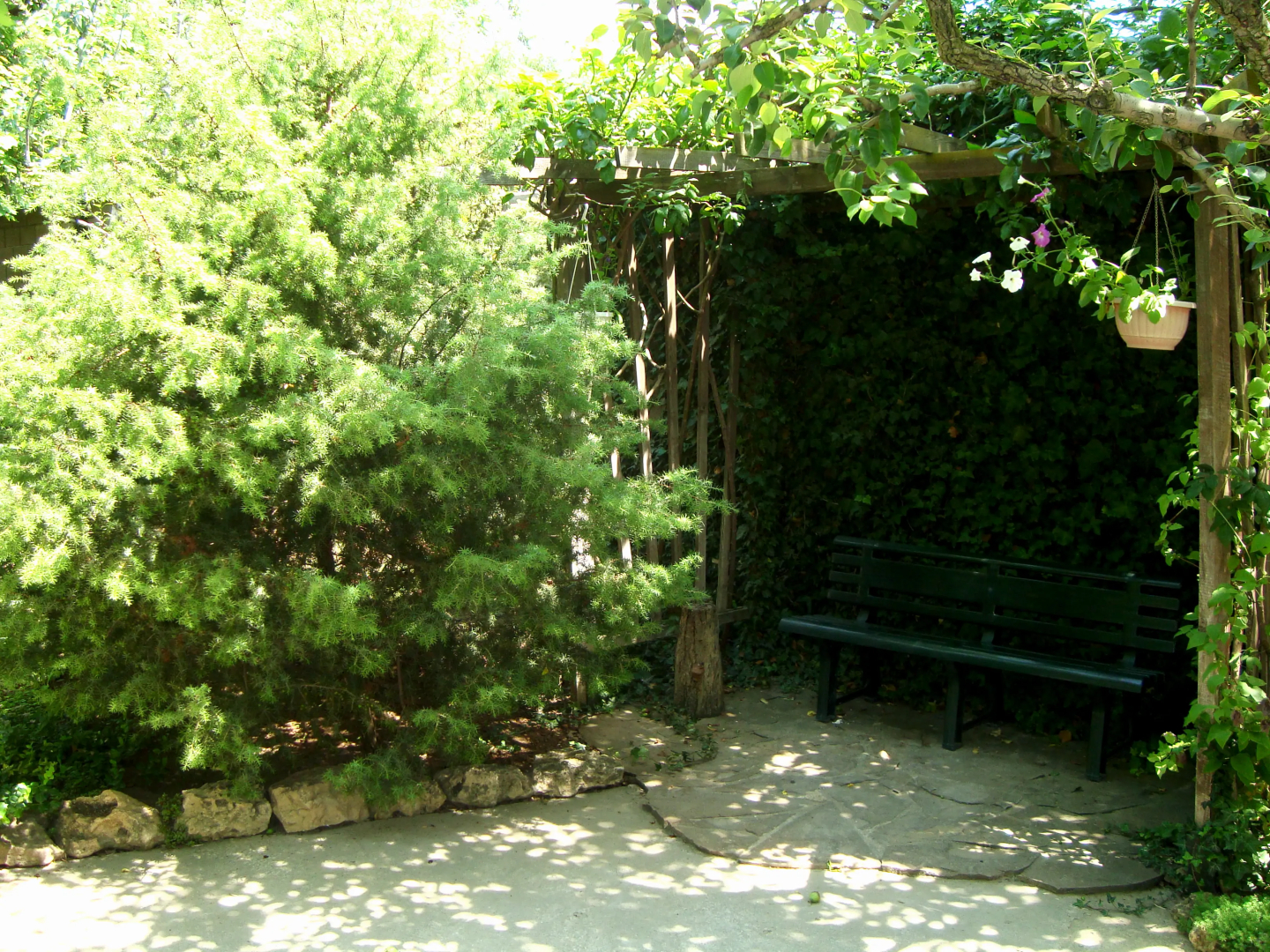 Гостевой Дом Солнечная Ривьера