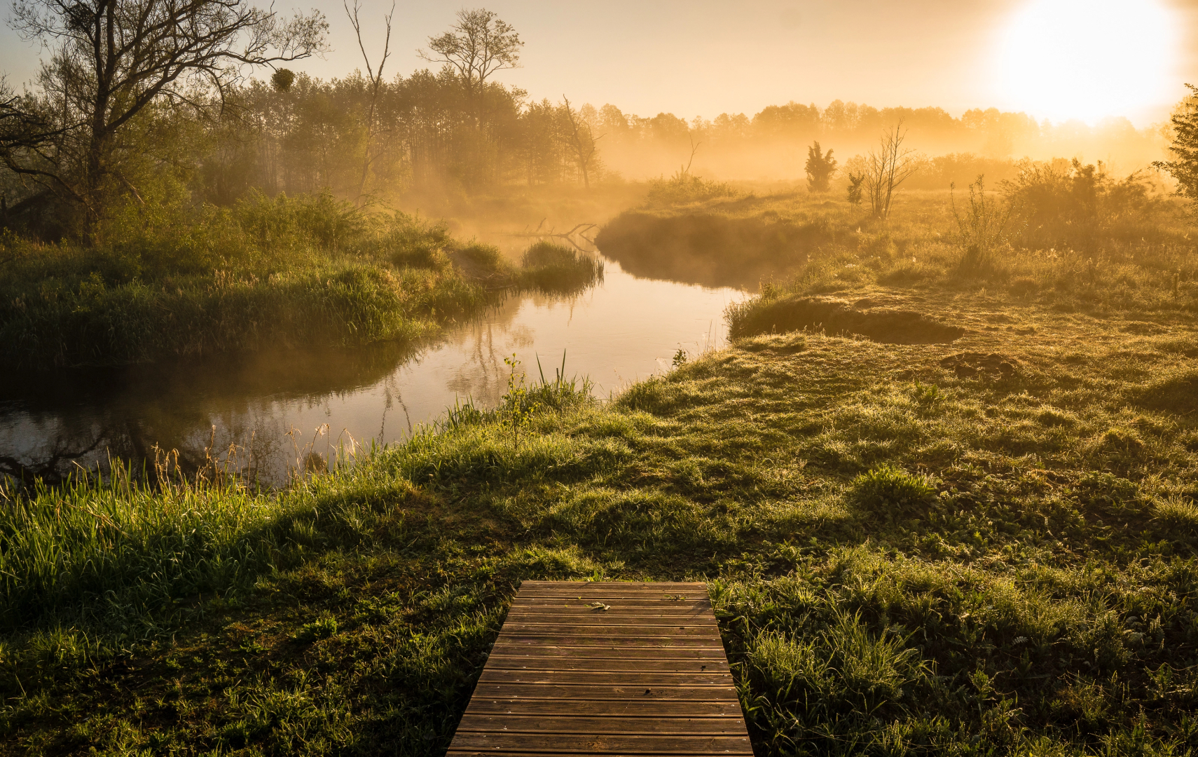 Гостевой дом Усадьба Беловежское Поместье