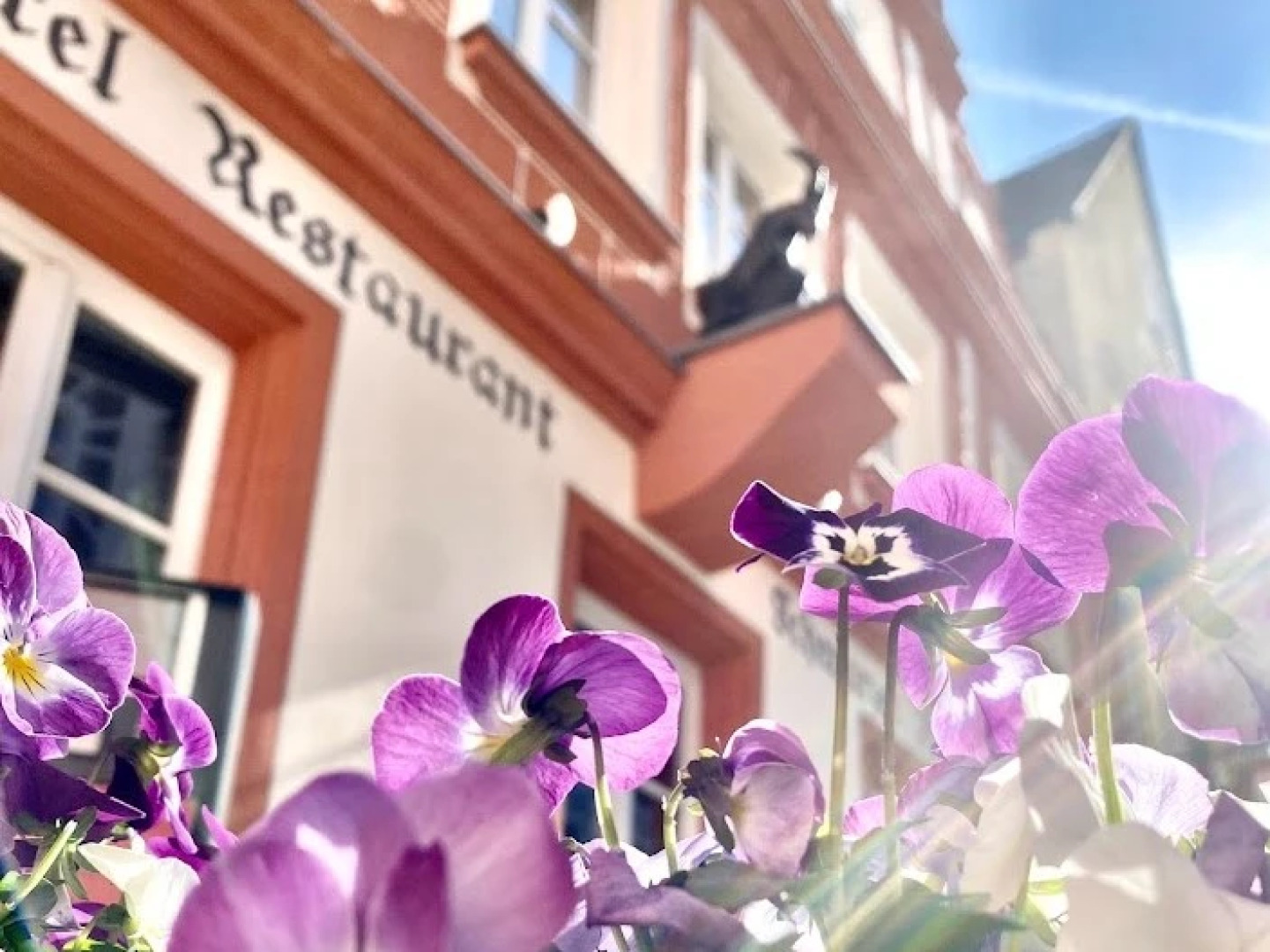 Бутик-отель Hotel & Bio Restaurant Schwarzer Bock