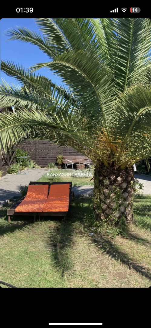 База отдыха Шезлонг