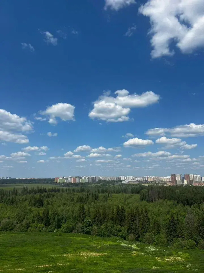 Квартира Ритц